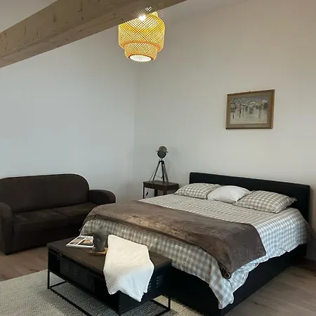 Maison Colmar, Spacieuse, Accueillante , Confortable Au Calme Appartement Colmar