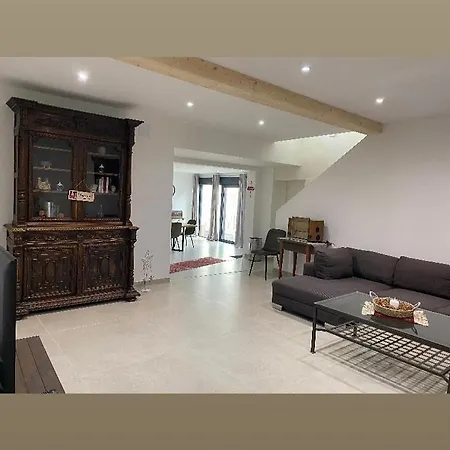 公寓 Maison Colmar, Spacieuse, Accueillante , Confortable Au Calme *