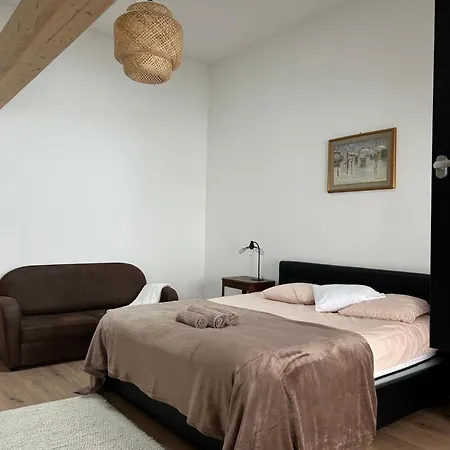 公寓 Maison Colmar, Spacieuse, Accueillante , Confortable Au Calme *