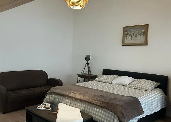 Maison Colmar, Spacieuse, Accueillante , Confortable Au Calme Lägenhet Colmar